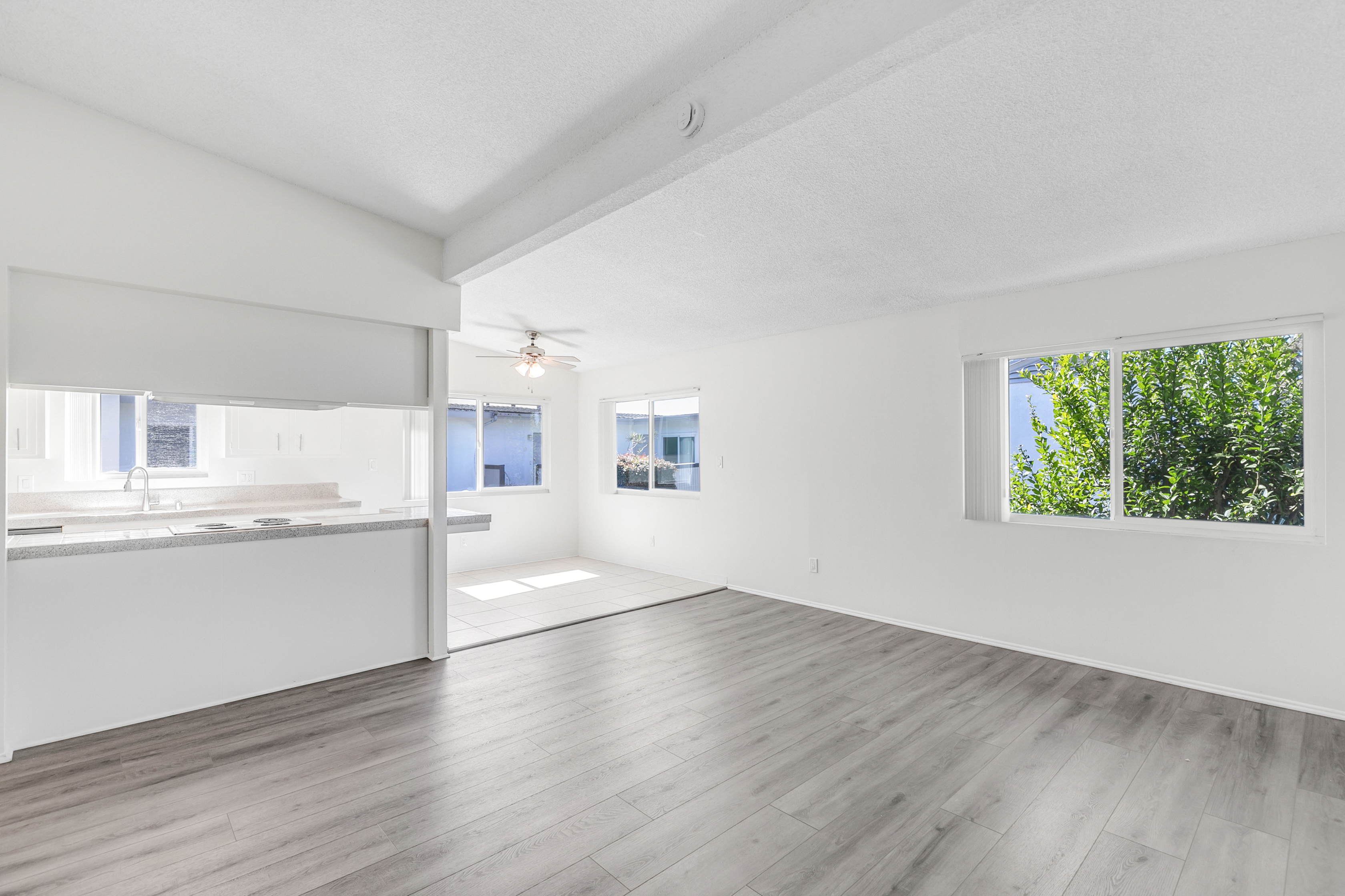Spacious Light-Filled Upper Unit